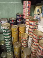 IMG20250111190904.webp
