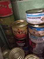 IMG20250111191104.webp