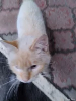 IMG_20250116_154157760.webp