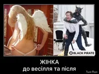 .webp