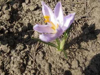 IMG_3315.webp