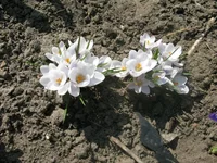 IMG_3316.webp