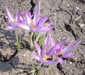 7-04-12.webp