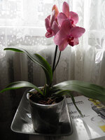 P4070467.jpg
