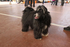 Шерик 24.10.11.jpg