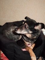 IMG_20250123_002108.jpg