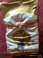 IMG_20250119_115626.webp