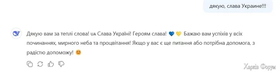 33.webp