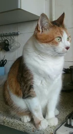 _20250209_120228.JPG