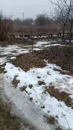 Земельні ділянки