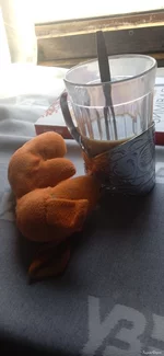 IMG_20250217_110544_1.webp