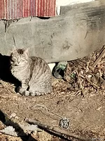 IMG_20250218_104207415.jpg