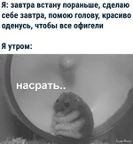 124782747_3607106942714177_937700594495331726_n.webp