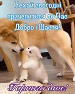 1740215550069.webp