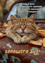 1740387696452.webp