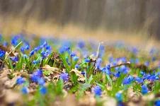 IMG_1667_small.webp