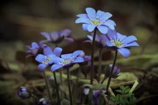 IMG_1502_small.webp