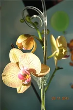 43f2c31a283c.webp