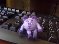 -0005.webp