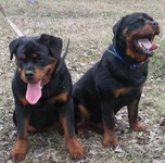  & Аделла 0101.webp