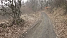дорога.JPG