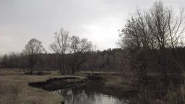 река.JPG