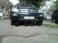 2011-09-06 09.58.02.jpg