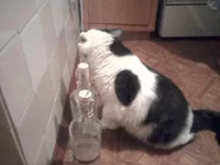 0052.webp