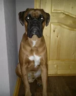 2012-04-09-113_cr.webp