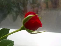 06042012192.webp