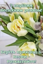 1740831357867.webp