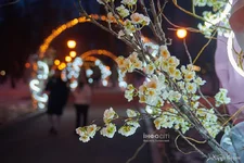 Screenshot_22.webp