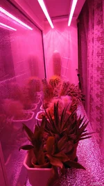 IMG-9e41721b8615fbf400034ab15b708bd8-V.webp