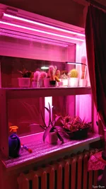 IMG-6af374eaeeea9f2997374809bd8a384a-V.webp