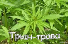 1741976557450.webp