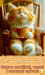 1742012753859.webp