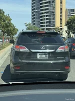 50941150206561.jpg