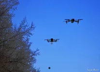 481508543_990114489968296_1905104809565480097_n.jpg