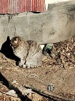 IMG_20250218_104203374.jpg