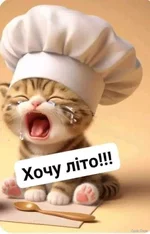 1742450872275.webp