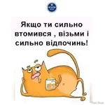 1742543098587.webp