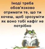 1742738515937.webp