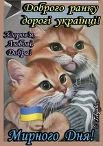 1742982012288.webp