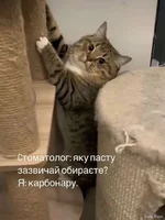 1743104968094.png