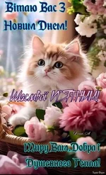 1743150696034.webp