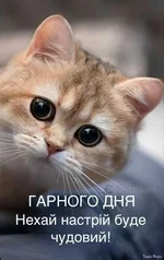 1743330321536.webp