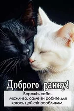 1743383600639.webp