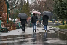 Screenshot_174.webp