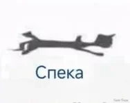 1743695955181.webp