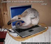 0_1cfcf_c47fd9ae_XL.webp